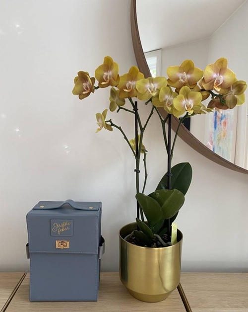 Strikkefeber - Rundpindetaske